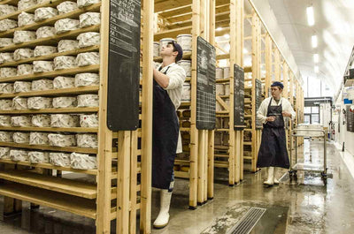 Safeguarding the Future of British Farmhouse Cheese