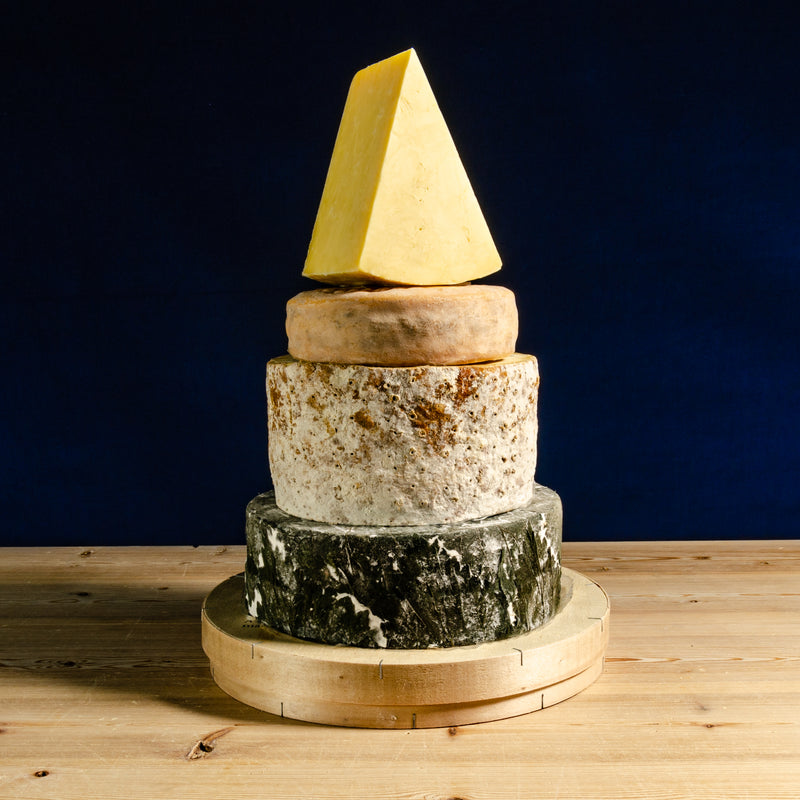 Celebration Cheese Cake Blue Albion