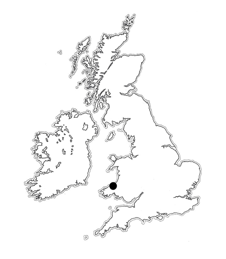 Location: Hafod map