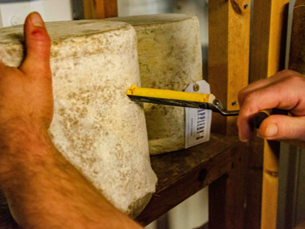 How Neal’s Yard Dairy is Putting Territorials Front and Centre This Christmas