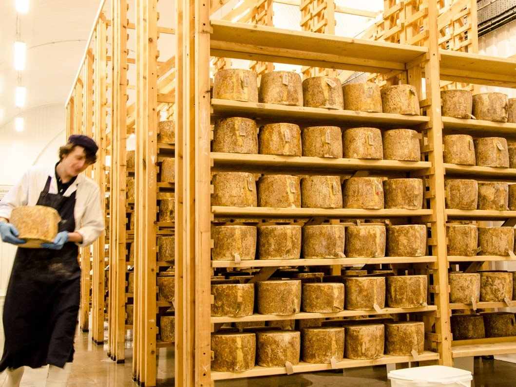 Neal’s Yard Dairy Maturation Arches Visit - 2018
