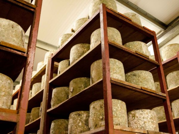 Pushing the Boundaries of Cheddar: A Workshop