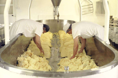 A Pattern of British Cheesemaking