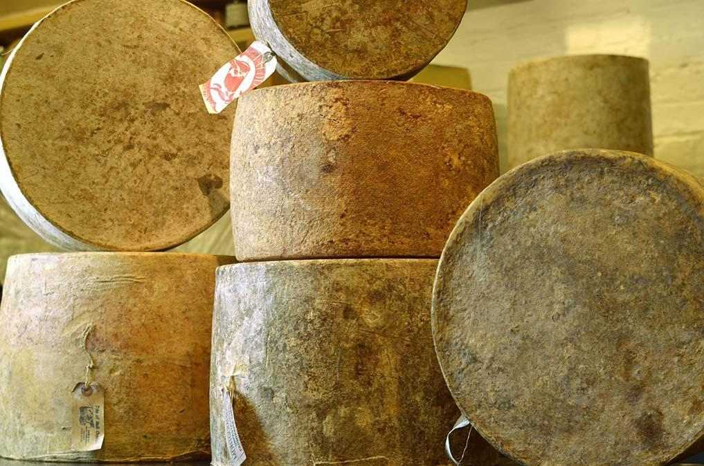A Little History of Cheddar – Neal's Yard Dairy