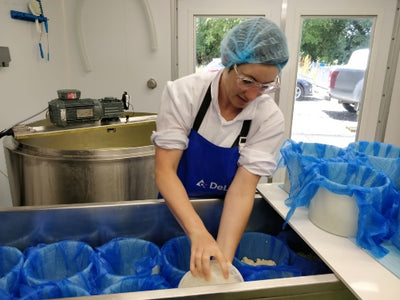 A cheesemonger visits Pevensey Blue