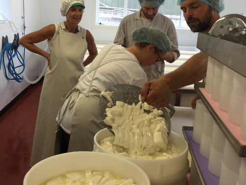 NYD Cow Club visit Fromagerie Mons Roanne, 2019. Pictured cheesemakers and Neal's Yard Dairy staff pose on a study visit to Fromagerie Mons Roanne