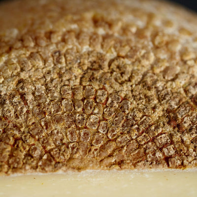 Close up of cut piece of Berkswell sheep’s milk cheese showing distinctive colander-patterned rind and firm off-white coloured paste