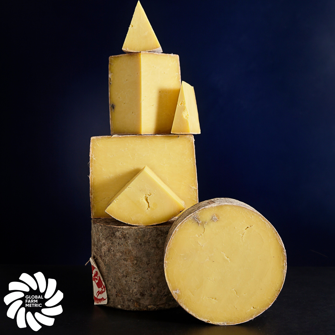 Hafod Cheddar