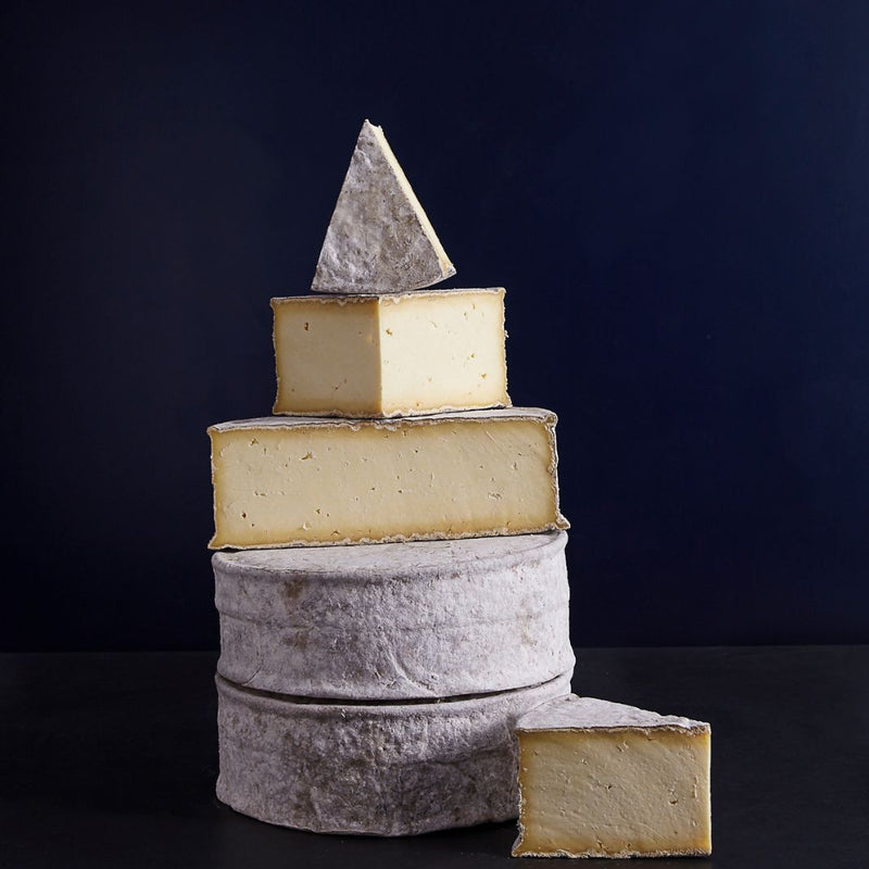 Tower of whole and cut pieces of Gorwydd Caerphilly cheese showing well developed rind and creamy paste
