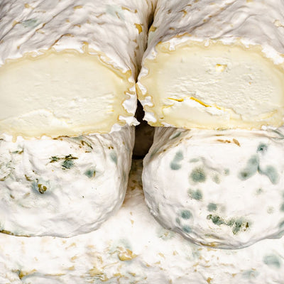 Close-up of whole and cut log-shaped Ragstone goat’s milk cheeses with a white mould-covered, smooth rind and dense paste