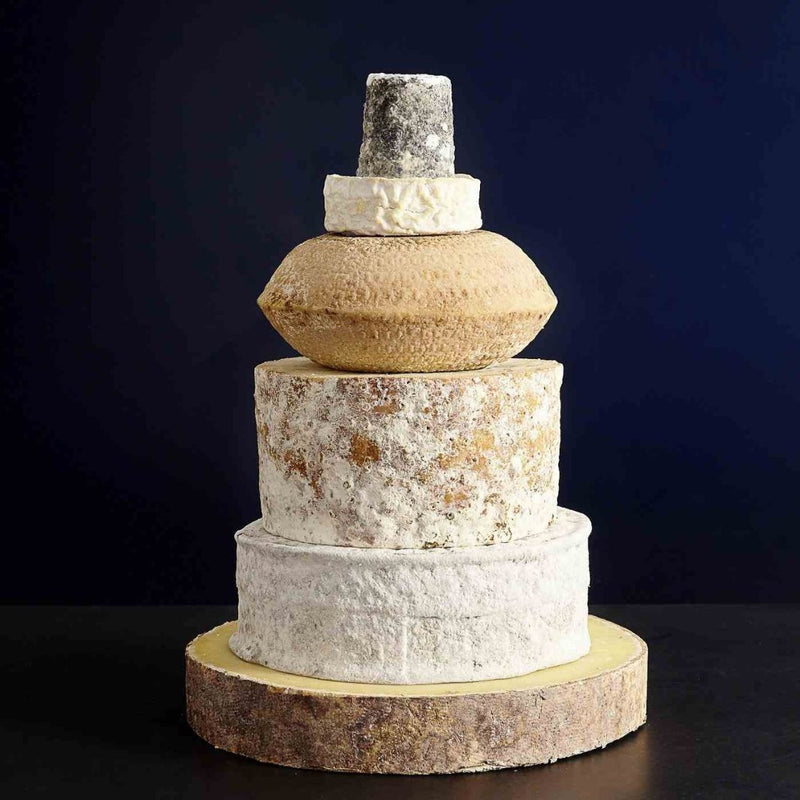 Celebration Cake British Saanens