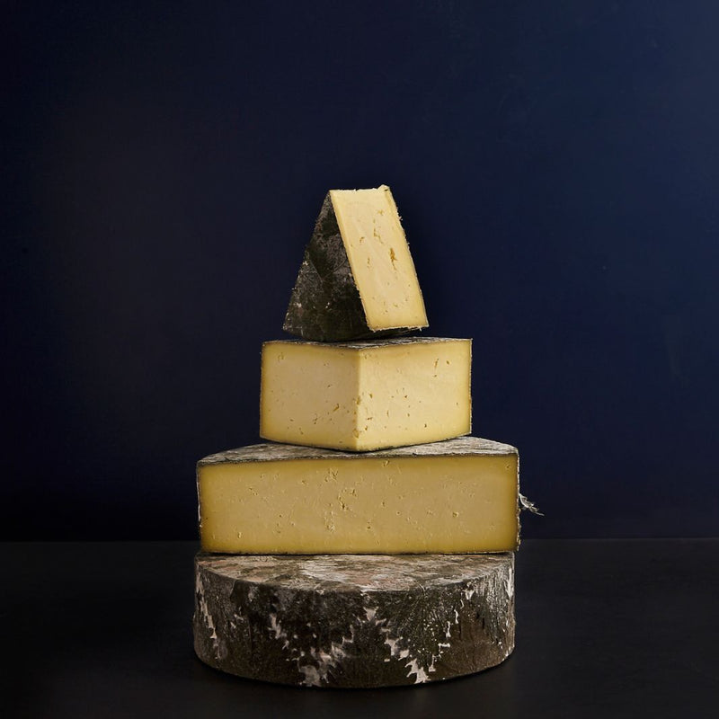 Various sized cut pieces sat on a whole Cornish Yarg cow’s milk cheese, showing the green nettle-wrapped, edible rind and buttery, creamy paste