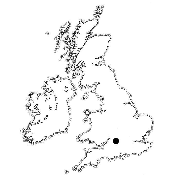 Tracklements Fig Relish