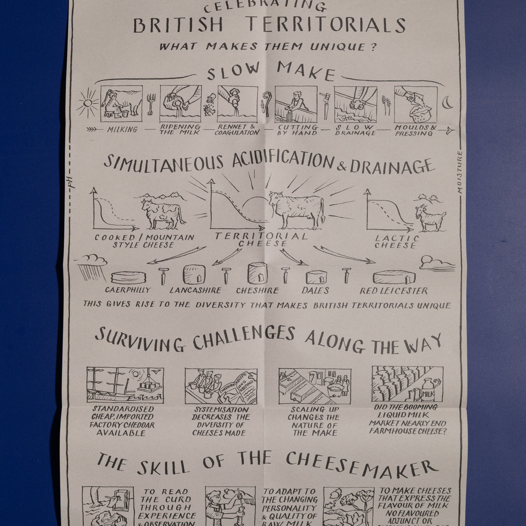 Neal's Yard Dairy Cheese Map