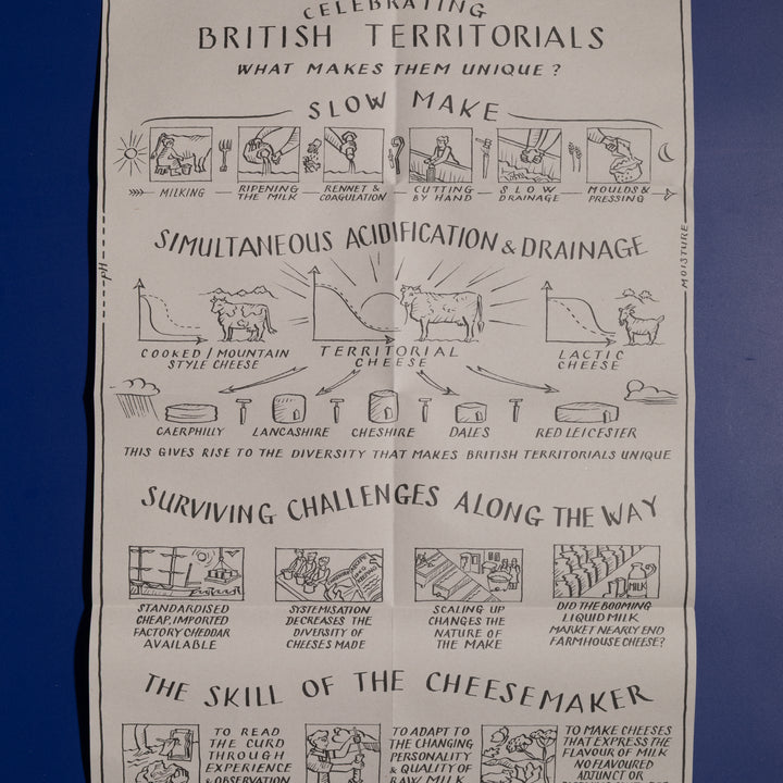 Neal's Yard Dairy Cheese Map