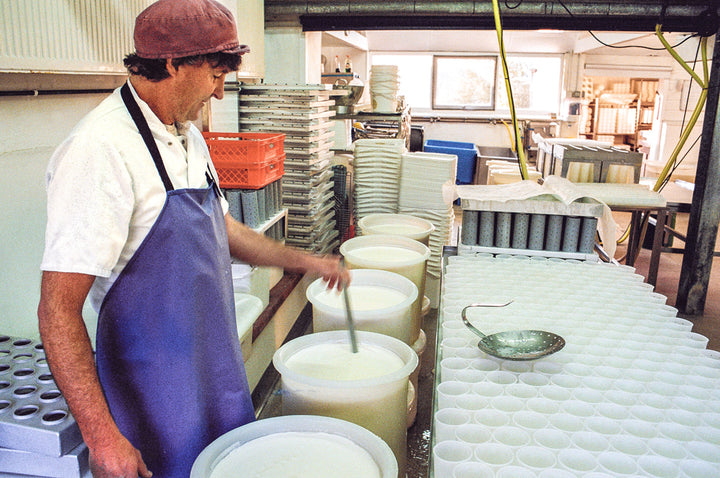 our-work: Cheesemaker Charlie Westhead cutting the curds