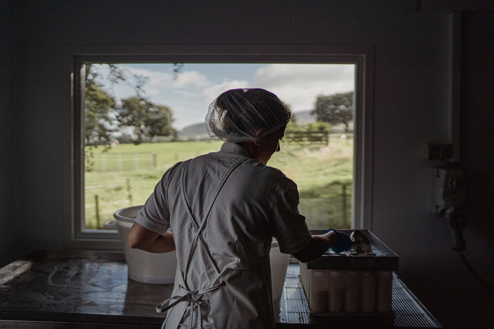 our-work: The view from the cheesemaking room at Errington Cheese