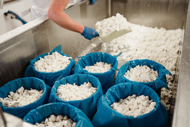 our-work: Once the whey has drained off the curd, the moulds are filled with curds.