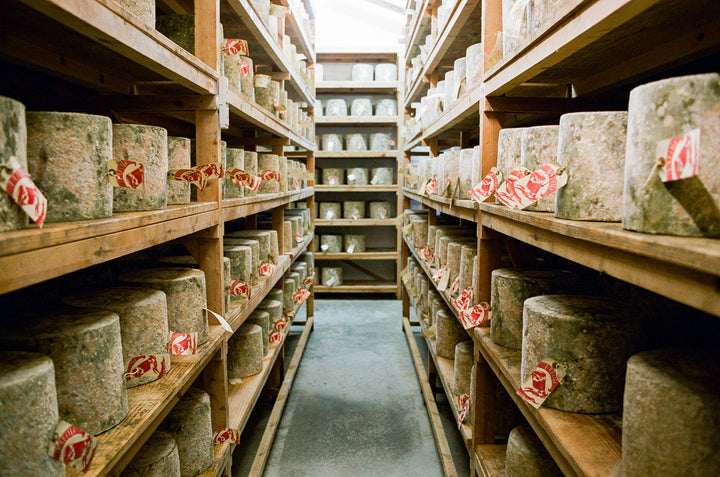 our-work: Hafod on the shelves of the cheese store at Holden Farm Dairy