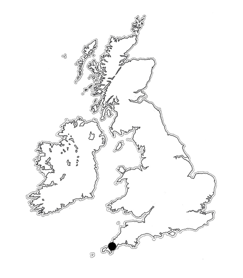 Location: Cornish Yarg map