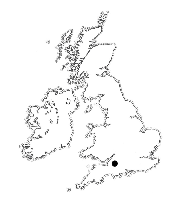Location: Gorwydd Caerphilly map