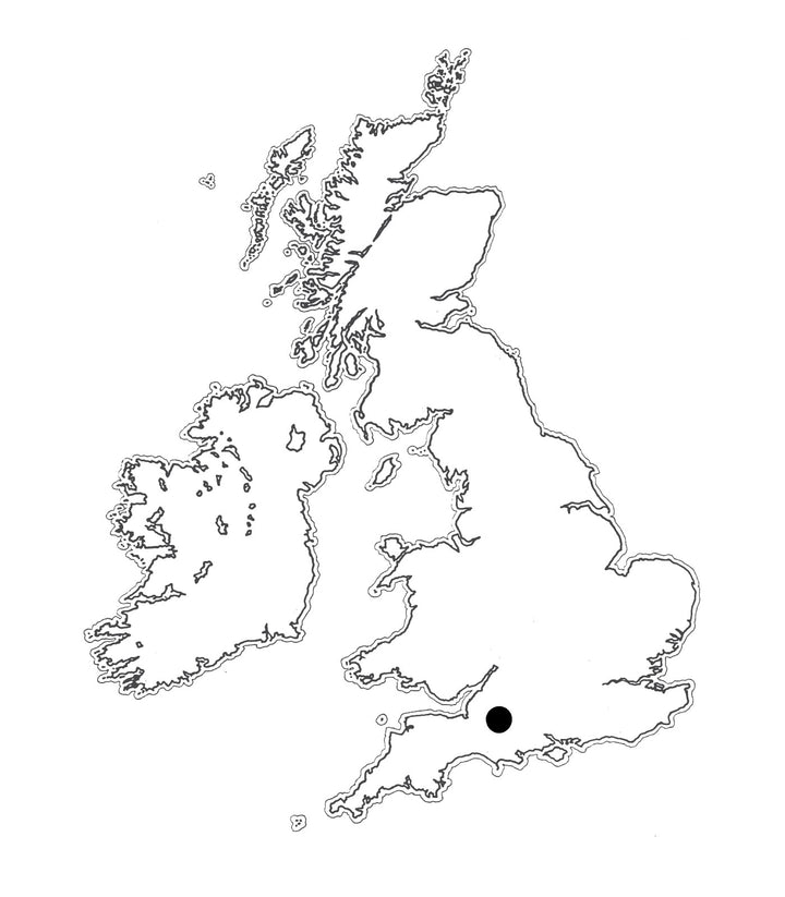 Location: Duckett's Caerphilly map